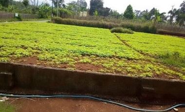 630 M2 Tanah Siap Bangun, Jl Haji Gofur Pakuhaji, Bandung Barat.