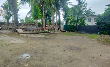 For Sale Titled 1,900 sqm Industrial Lot in Mandaue City