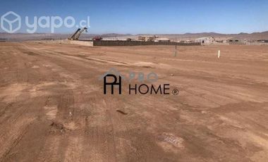 Se arrienda amplio terreno en La Negra, Antofagasta