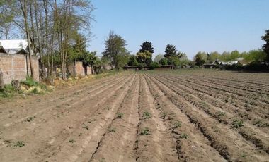 Terreno En San Javier V 504-450-RR