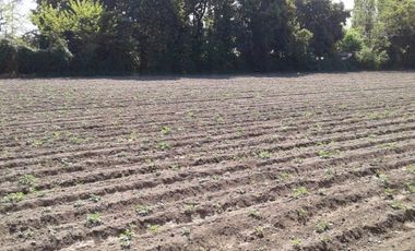 Terreno En San Javier V 504-450-RR