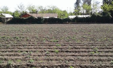 Terreno En San Javier V 504-450-RR