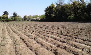 Terreno En San Javier V 504-450-RR