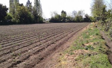 Terreno En San Javier V 504-450-RR