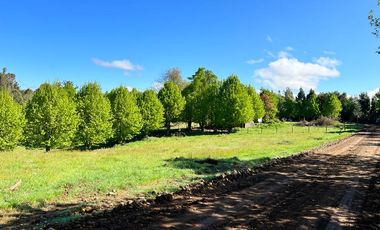 Parcelas Sexta Faja Gorbea, cercanas a Villarica con luz y agua