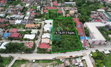 Prime Residential Lot for Sale in Talamban, Cebu City - Your Dream Home Awaits