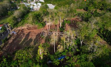 Prime Leasehold Land in Bukit – Bingin: Perfect Opportunity for Development in Bali’s Trending Area!