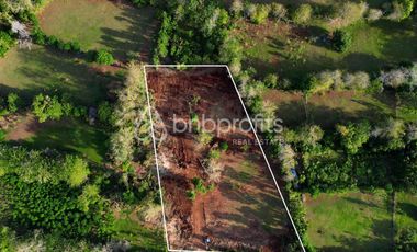 Prime Leasehold Land in Bukit – Bingin: Perfect Opportunity for Development in Bali’s Trending Area!