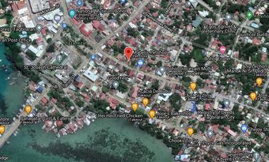 Lot For Lease (Tagbilaran City)
