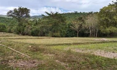 For Sale Farm Lot in Sitio Pantay, Tanay, Rizal - CRS0184