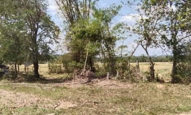 For Sale Farm Lot in Sitio Pantay, Tanay, Rizal - CRS0184
