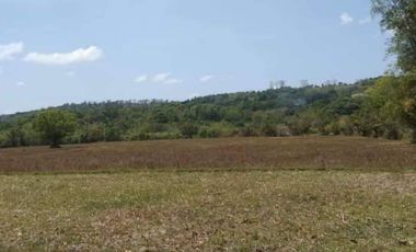 For Sale Farm Lot in Sitio Pantay, Tanay, Rizal - CRS0184