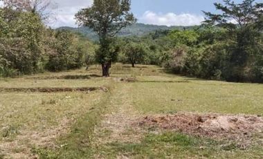 For Sale Farm Lot in Sitio Pantay, Tanay, Rizal - CRS0184