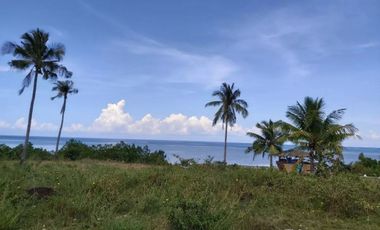 Beachfront lot for rent in San Remegio, Cebu