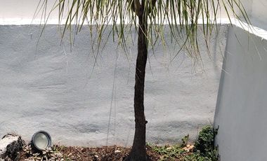 CASA EN VENTA EN OCOTEPEC, CUERNAVACA MORELOS