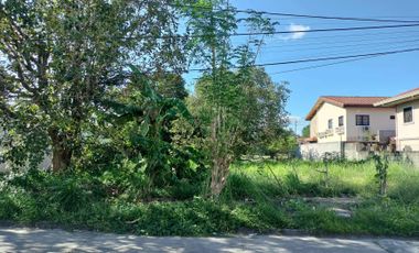 Residential Lot for SALE in Santo Domingo Angeles City Pampanga