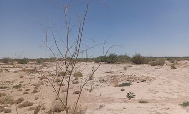 TERRENO EN EL EJIDO EL OLIVO EN VENTA