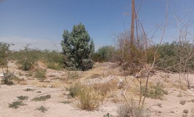 TERRENO EN EL EJIDO EL OLIVO EN VENTA