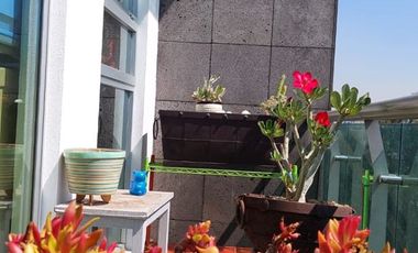 Penthouse Portales