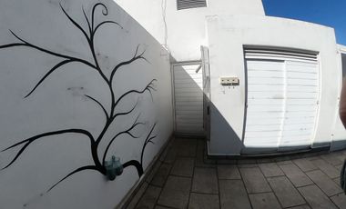Penthouse Portales