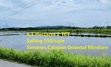 Riceland for Sale in Calapan Oriental Mindoro Sta Isabel(Simaron)