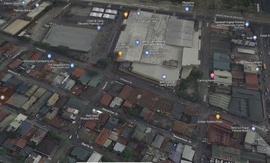 Commercial Lot for Sale in Barangay Palanan, Makati City