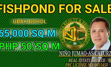 Cheap fishpond for sale 65,000 sqm tax declaration UBAY BOHOL PHILIPPINES 50/SQM