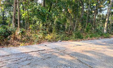 Tanah Dekat Sungai 1155m² Mojogedang Karanganyar