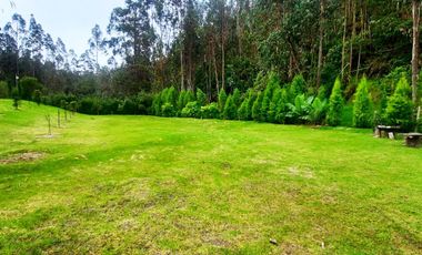 Venta de amplios lotes de terreno - Ubicado en  Solano |  Deleg  |