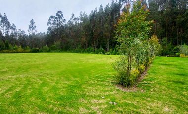 Venta de amplios lotes de terreno - Ubicado en  Solano |  Deleg  |