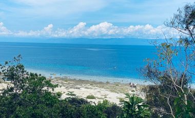 Beach front lot for sale 34,463 square meters located at barangay Tontonan, Loon, Bohol