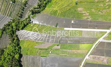 Land of Dreams: Exclusive Leasehold Opportunity in Kedungu – Craft Your Bali Oasis!