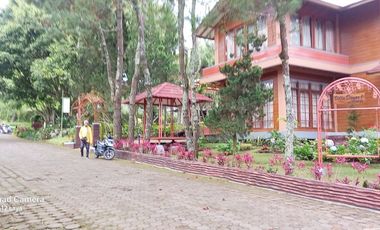 Sewa Villa Dinar di Villa Istana Bunga Lembang Bandung