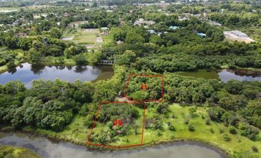 (LS357-01) Nearly 2 Rai of Nice Land for Sale in Pha Pai, San Sai, Chiang Mai