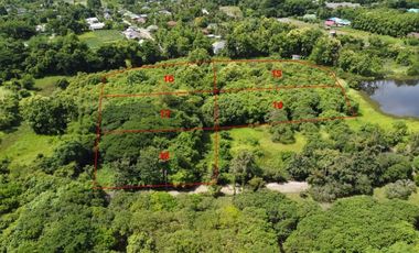 (LS357-01) Nearly 2 Rai of Nice Land for Sale in Pha Pai, San Sai, Chiang Mai