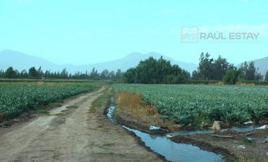 VENDEMOS solo 4 parcelas de agrado a buen precio