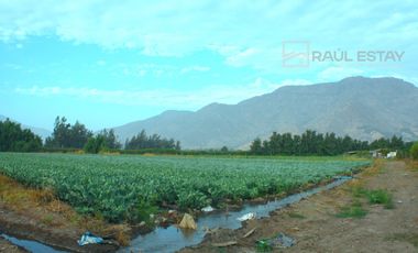 VENDEMOS solo 4 parcelas de agrado a buen precio