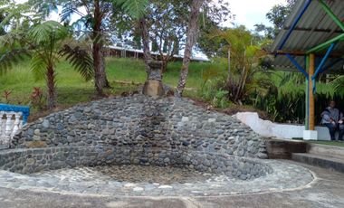 VENTA FINCA VEREDA LA VENTURA A 15 MINUTOS DE LA CUMBRE VALLE. TERRENO PRODUCTIVO.