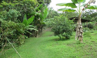 VENTA FINCA VEREDA LA VENTURA A 15 MINUTOS DE LA CUMBRE VALLE. TERRENO PRODUCTIVO.