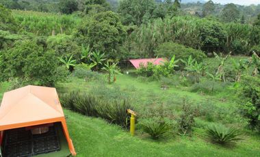 VENTA FINCA VEREDA LA VENTURA A 15 MINUTOS DE LA CUMBRE VALLE. TERRENO PRODUCTIVO.