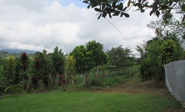 VENTA FINCA VEREDA LA VENTURA A 15 MINUTOS DE LA CUMBRE VALLE. TERRENO PRODUCTIVO.