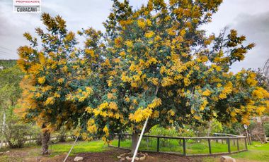 🏠León Propiedades vende parcela con casa en sector Miraflores, Curacavi🏠