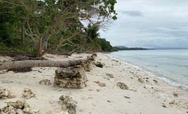 51 Hectares Beach Lot with 1.2 Kilometer Long Shoreline In Bohol, Philippines