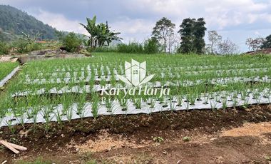Jual Tanah Datar 1100m2 Kemuning Karanganyar