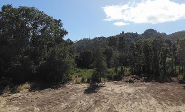 Hermosa parcela a Orillas del Rio Cruces