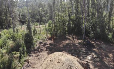 Hermosa parcela a Orillas del Rio Cruces