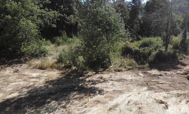 Hermosa parcela a Orillas del Rio Cruces