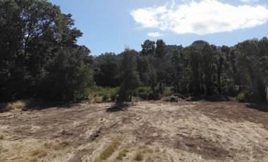 Hermosa parcela a Orillas del Rio Cruces