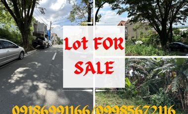 Residential Lot for Sale in Marikina Hieghts