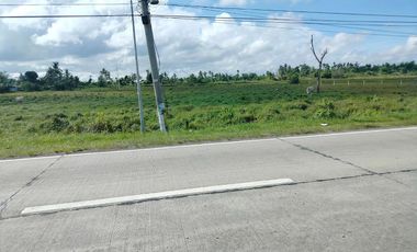 Commercial lot along highway wide frontage in Ubay Bohol...